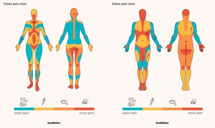 Tatoo pain chart según el sexo. (Pinterest)